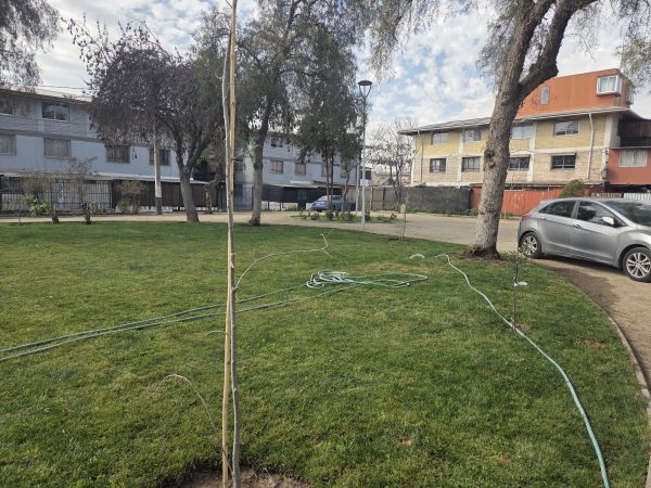 Departamento en Comuna de lo Espejo - Imagen 15